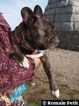 051120061343b 051120061343b