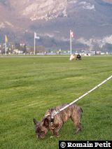 Néronne dans les Alpes Néronne dans les Alpes