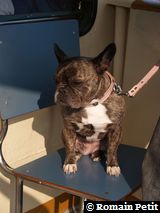 090420071707a 090420071707a