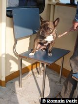 090420071707c 090420071707c