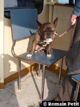 090420071707d 090420071707d