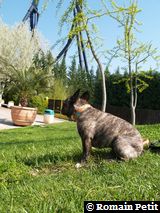 120420071117 120420071117