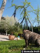 120420071118 120420071118