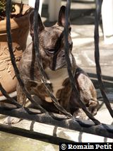 180420071508b 180420071508b