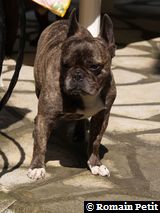 180420071520 180420071520