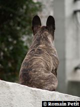 090620071327g 090620071327g