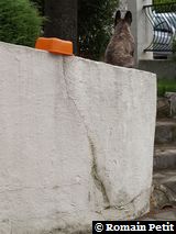 090620071328a 090620071328a