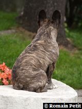 090620071328b 090620071328b