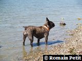 040820071154d 040820071154d