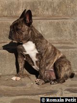 170820070853a 170820070853a