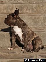 170820070853b 170820070853b