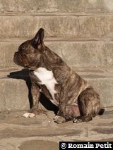 170820070853d 170820070853d