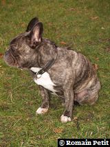 251120071606b 251120071606b