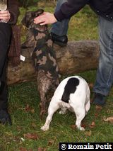 251120071609a 251120071609a