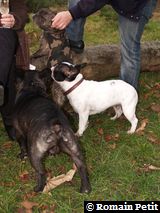 251120071609b 251120071609b