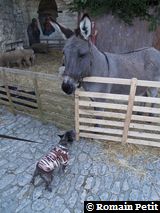 281220071210c 281220071210c