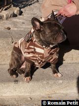 281220071224g 281220071224g