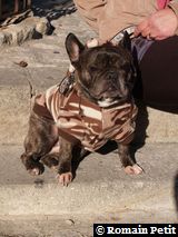 281220071224h 281220071224h