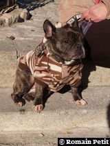 281220071224i 281220071224i