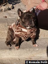 281220071224j 281220071224j