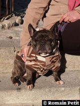 281220071225a 281220071225a