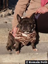 281220071225b 281220071225b