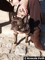 281220071225e 281220071225e