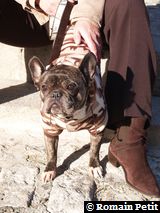 281220071225i 281220071225i