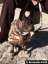 281220071226a 281220071226a