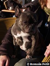 301220071525a 301220071525a