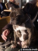 301220071525b 301220071525b