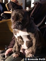 301220071525c 301220071525c