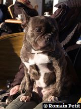 301220071525d 301220071525d