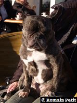 301220071525f 301220071525f