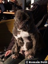 301220071525g 301220071525g