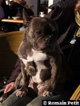 301220071525h 301220071525h