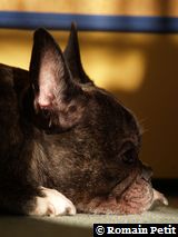 020220081104a 020220081104a