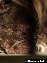 020220081105b 020220081105b