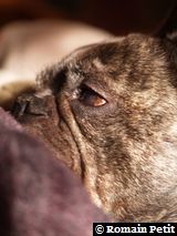 030220081202a 030220081202a