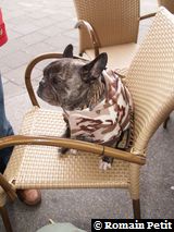 010320081556a 010320081556a