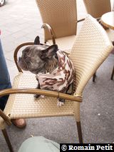 010320081556b 010320081556b