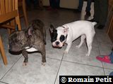 Néronne et Moogwaï Néronne et Moogwaï