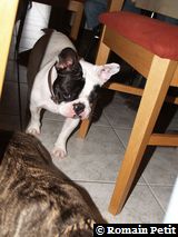 020320081609a 020320081609a