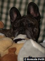 170320080844 170320080844