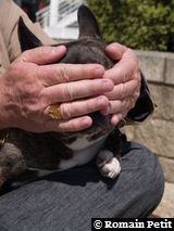 300420081422d 300420081422d