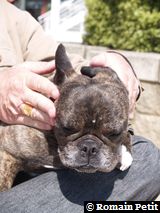 300420081422e 300420081422e