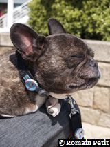 300420081422h 300420081422h