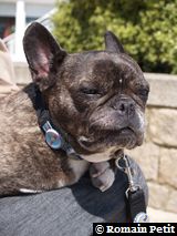 300420081423 300420081423