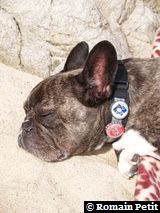 010520081633b 010520081633b