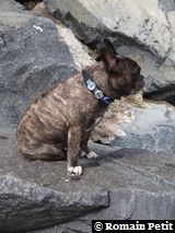 010520081647e 010520081647e